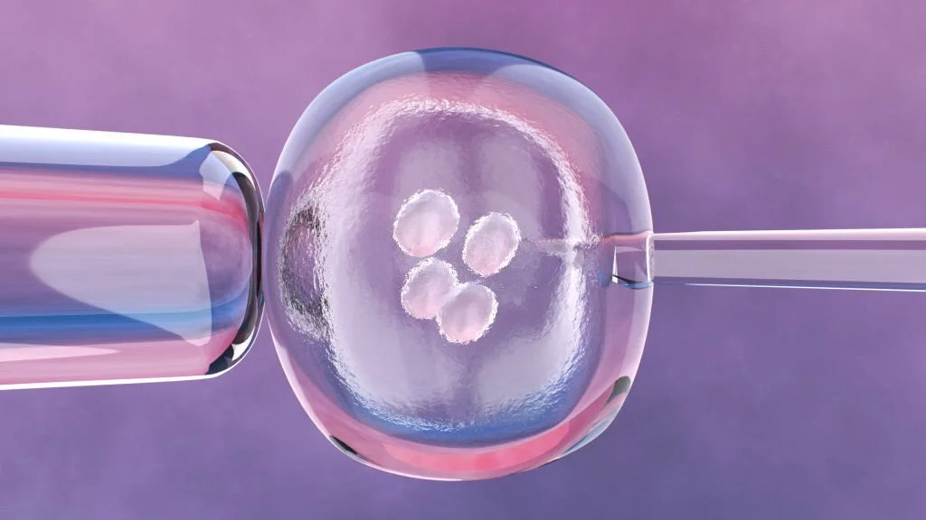 In Vitro Fertilization: What You Need to Know.